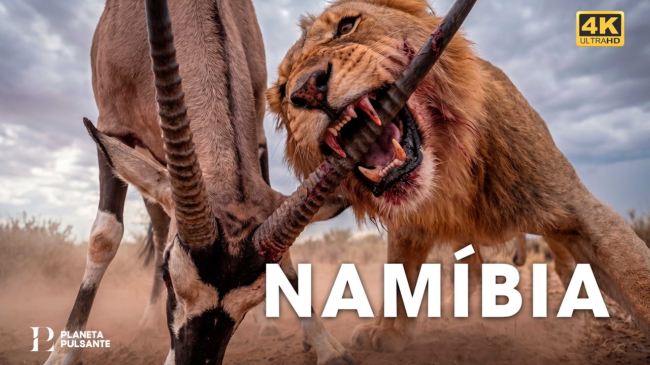 NAMÍBIA |  A Vida Selvagem no Deserto Mais Brutal da África | Documentários animais