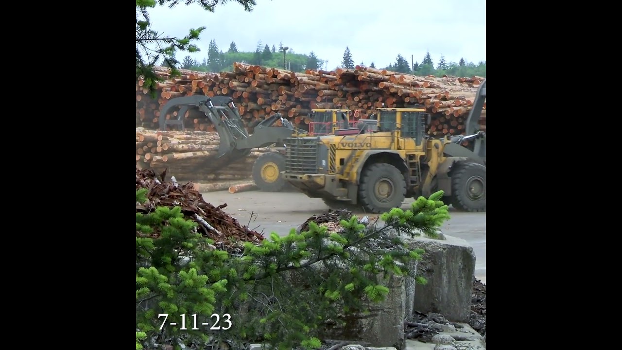 New logs for the mill | Daily Willapa 7-11-2023