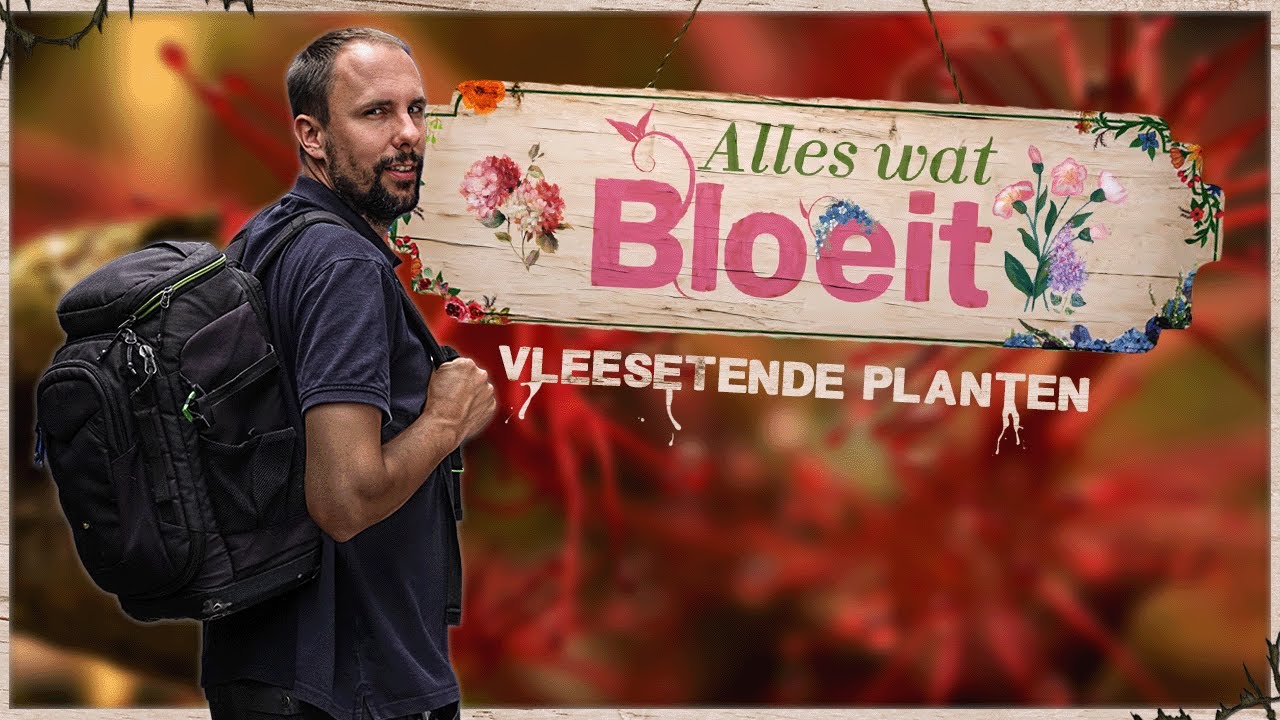 De vleeseters onder de planten | Alles Wat Bloeit