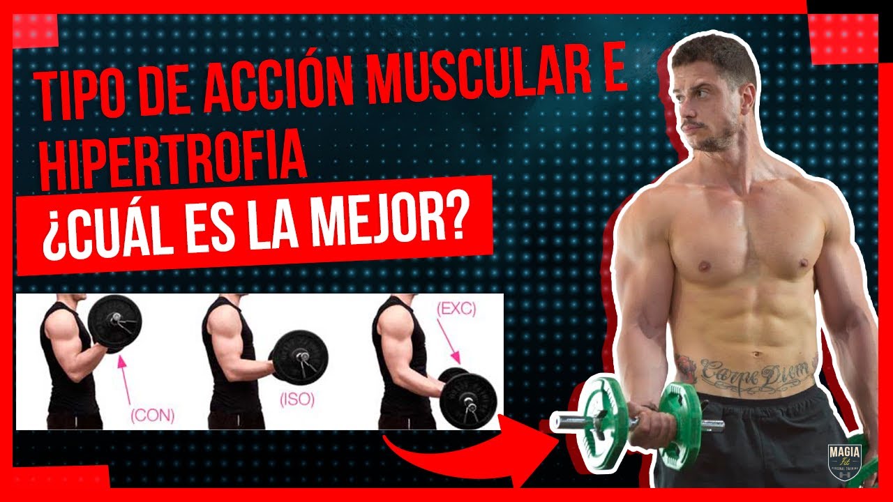 TIPOS de CONTRACCIONES MUSCULARES 💪¿Cuál es la MEJOR para HIPERTROFIA o AUMENTAR MASA MUSCULAR?