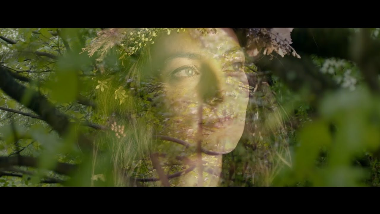 BOGGIE // F&Uuml;ST // Official Music Video