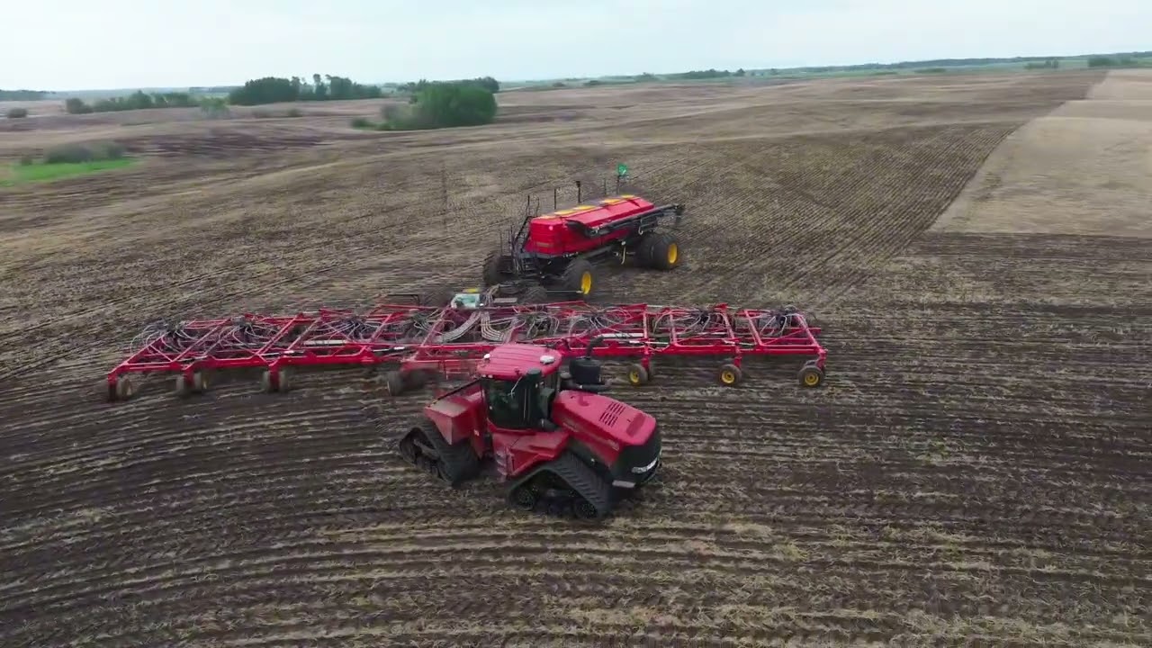 Seeding 2023