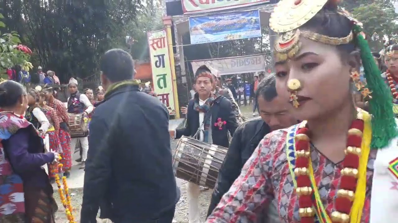 HAMRO LIMBU CALCHAR KO CHANGBHUNG NACH HAI SATHIHARU ARKO PART | #viral 