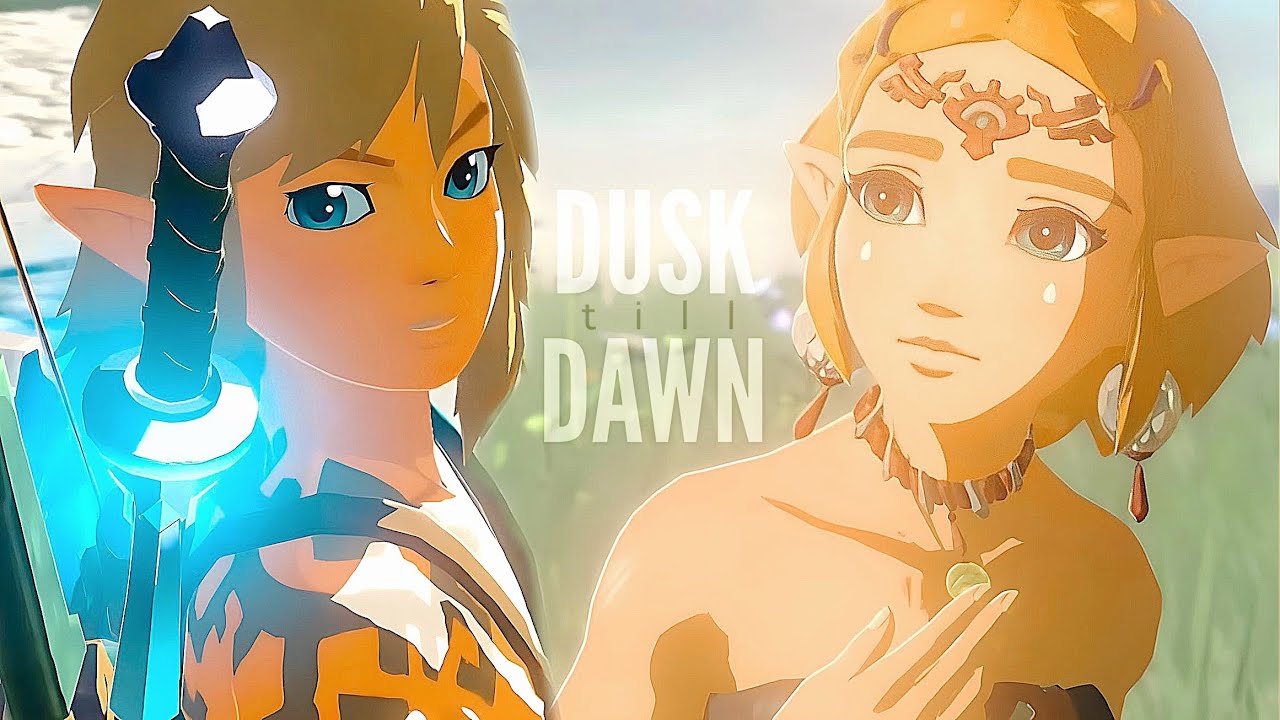 Zelda & Link. 𝐃𝐮𝐬𝐤 𝐓𝐢𝐥𝐥 𝐃𝐚𝐰𝐧 (zelink)