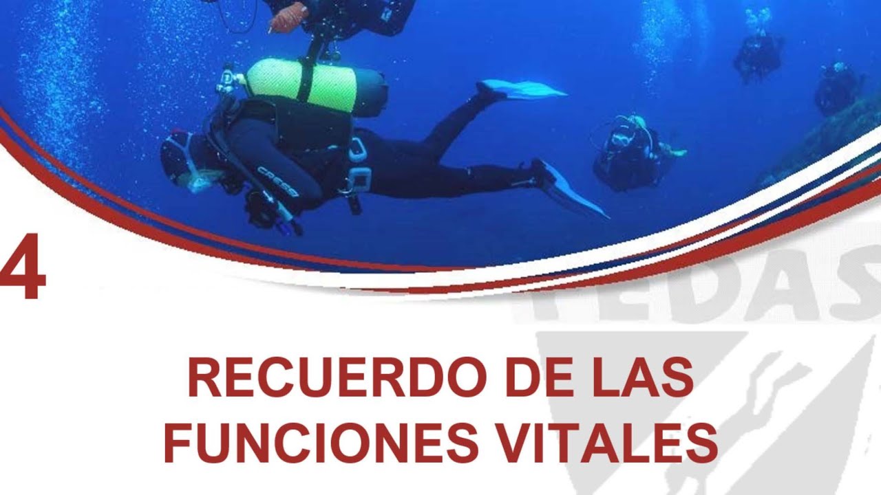 Soporte Vital Básico (FEDAS): 4. RECUERDO DE LAS FUNCIONES VITALES