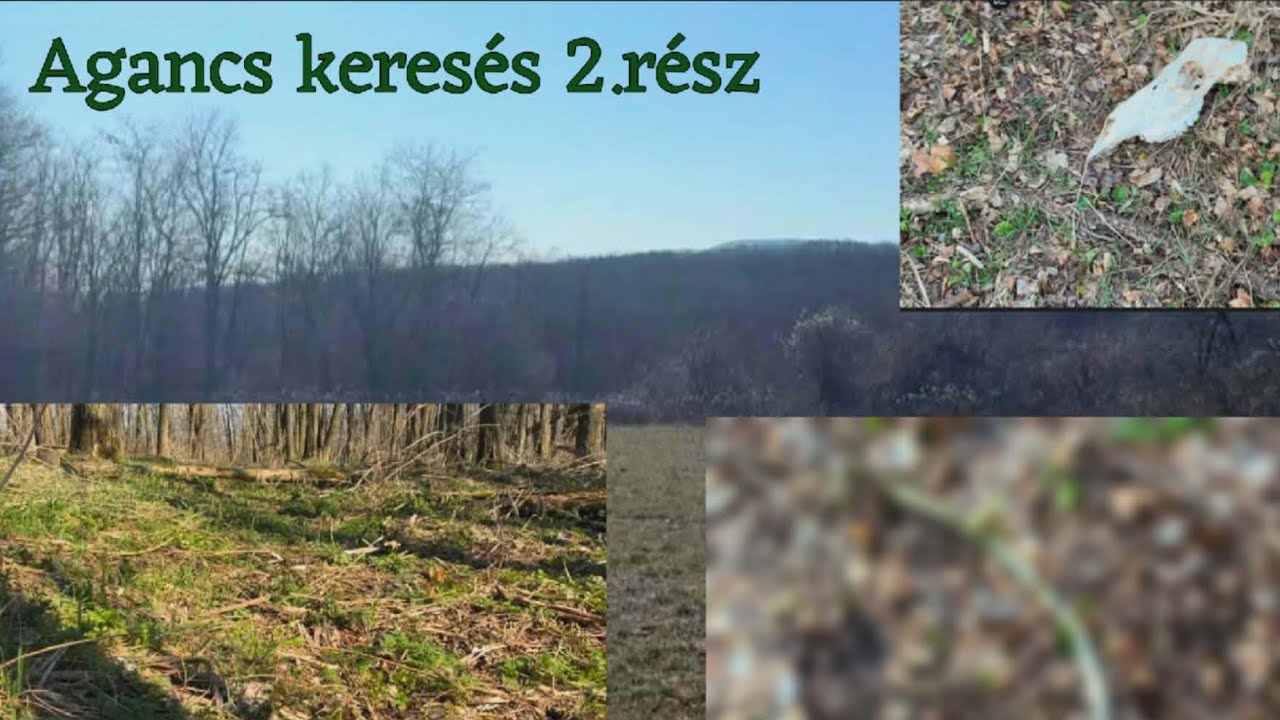 Agancs keresés 2. Rész (messzi messzi tájon)