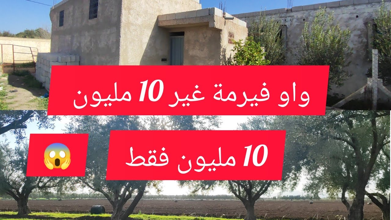 فيرمة غير 10 مليون ضخل وشوف بعينيك الفيرمةعندها مستقبل عجباتك تواصل معاية 0700785598