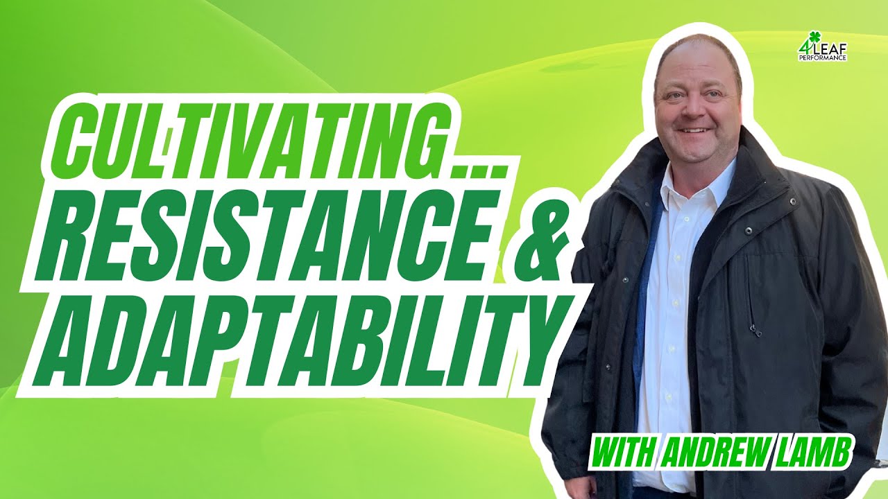 Resilience in the Business World