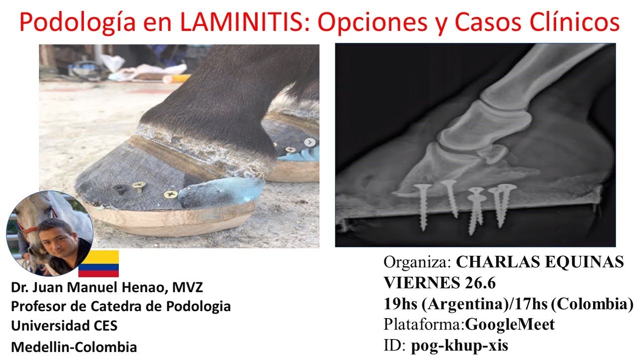CHARLAS EQUINOS Podología en laminitis, opciones y casos clínicos, Dr. Juan Manuel Henao