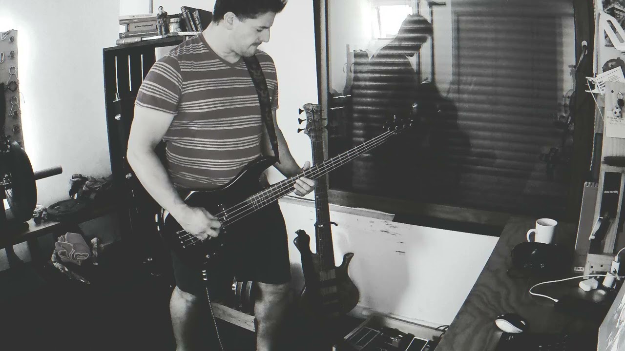 MEIN LAND - RAMMSTEIN - BASS COVER