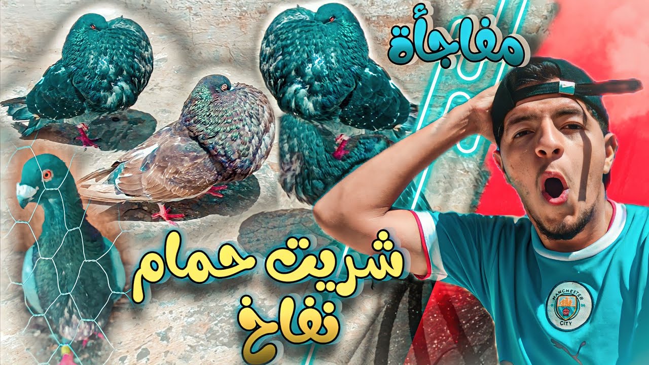 شريت حمام النفاخ 🤩 و حمام الخنيسي 🤔