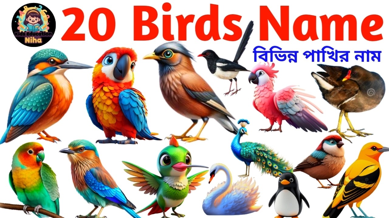 Birds Name for Kids | 20 Birds Name in English & Bangla | বিভিন্ন পাখির নাম | Kids Education