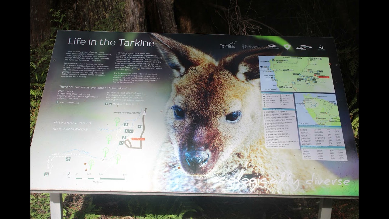 Beautiful Tarkine Drive Tasmaniia