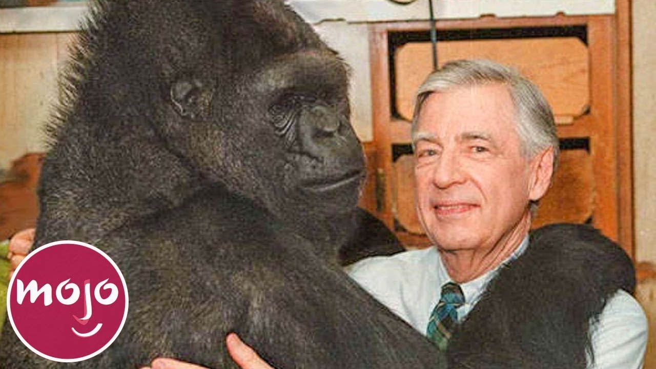 Top 10 Most Famous Animals in the World