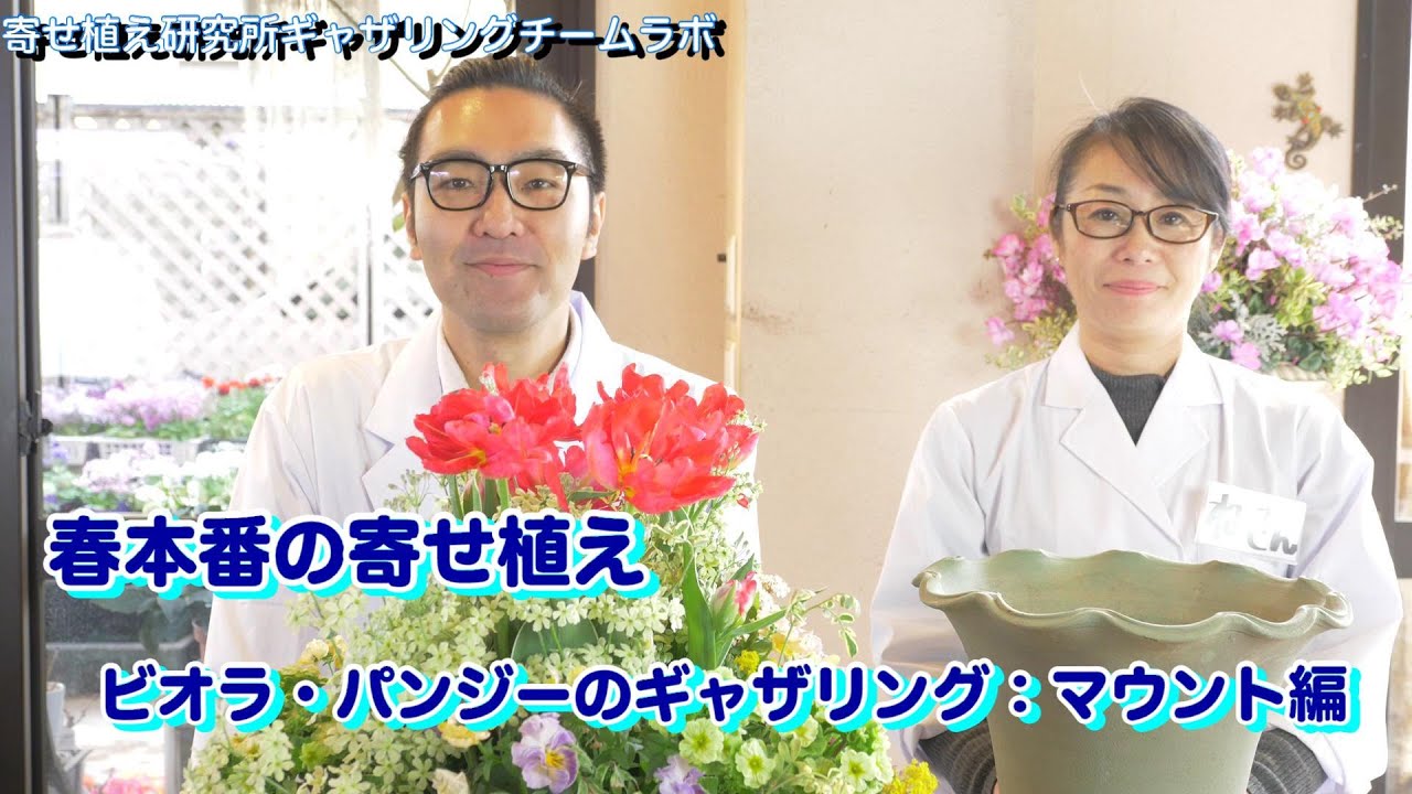 寄せ植え研究所：今が旬！ビオラ・パンジーのギャザリング：マウント編