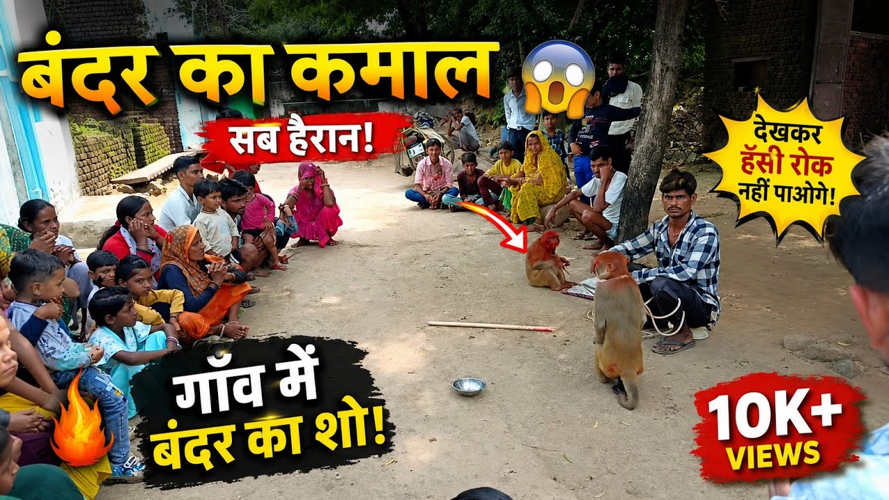 बंदर का खेल 👈😀😀
