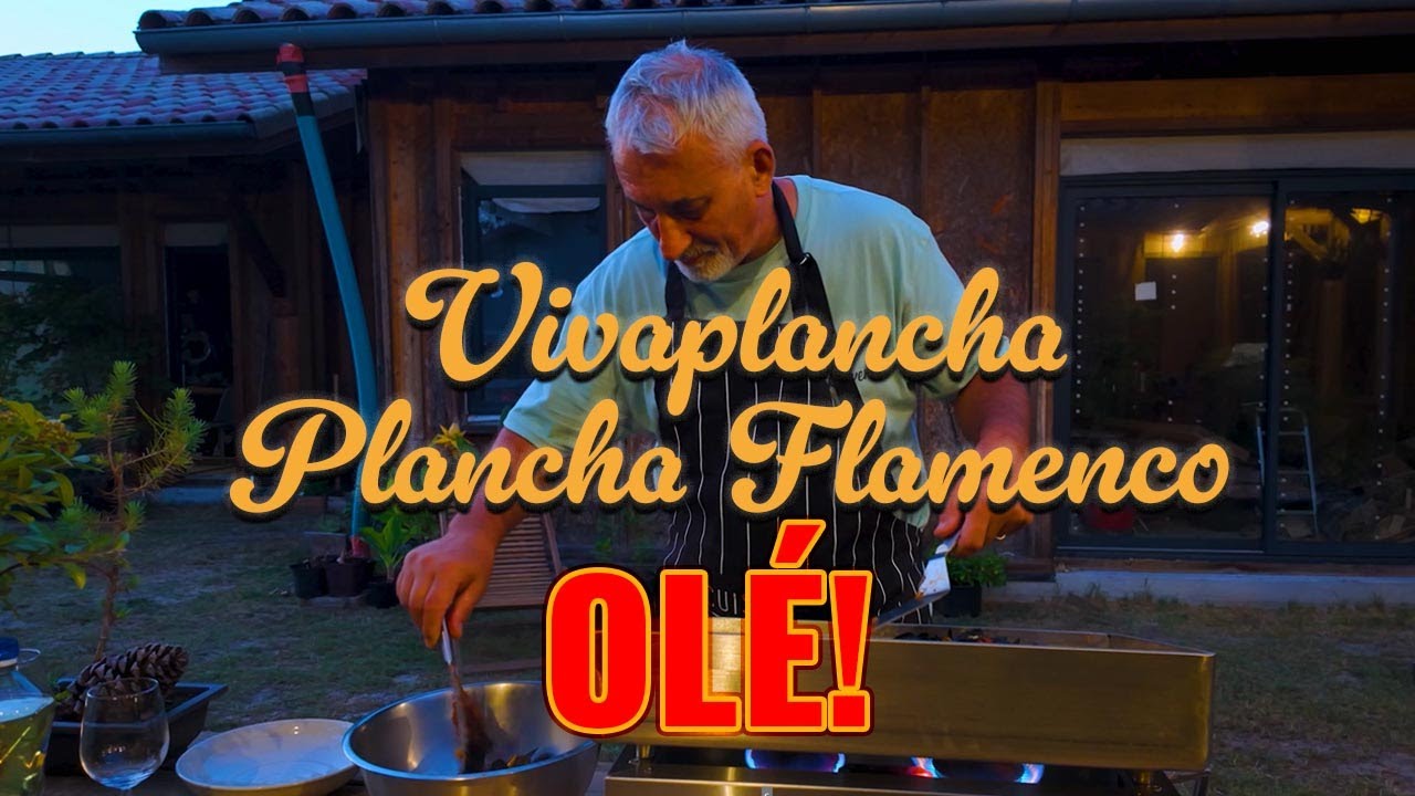 Plancha Vivaplancha 
