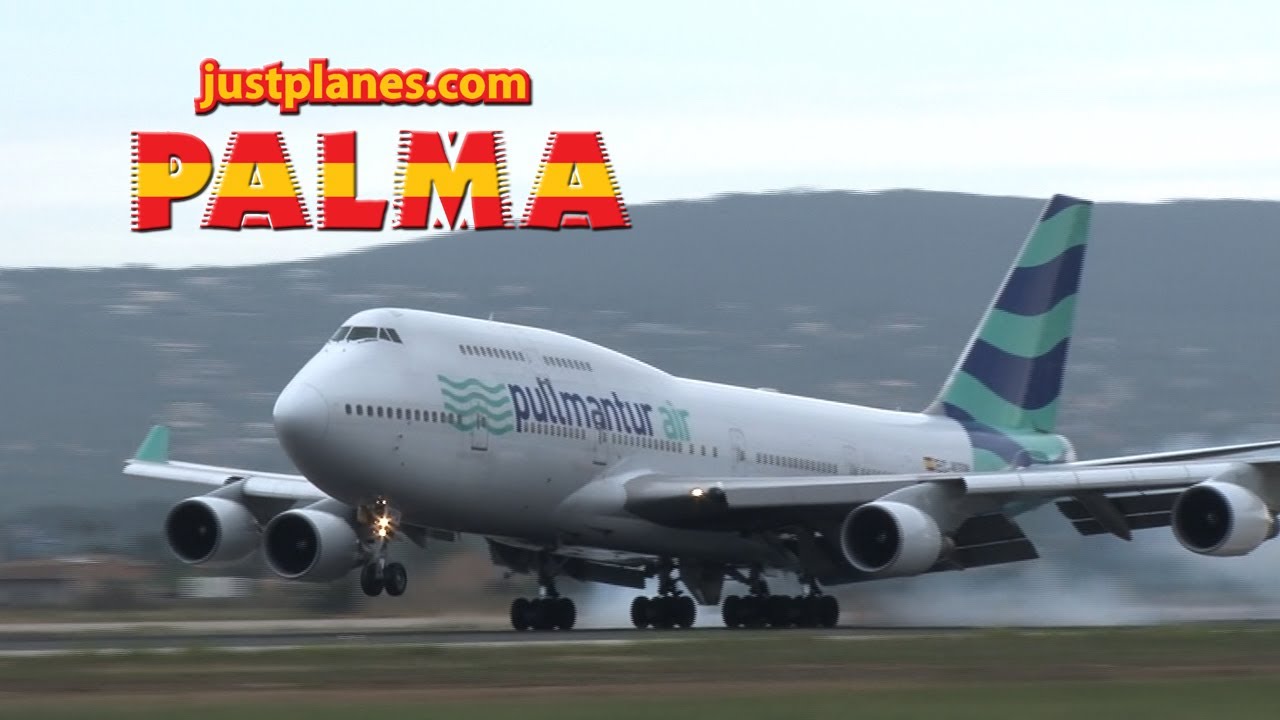 Widebodies at PALMA (2013)