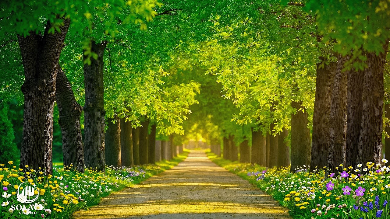 Успокаивающая музыка для нервов 🌿 лечебная музыка для сердца и сосудов, релакс, музыка для души #3