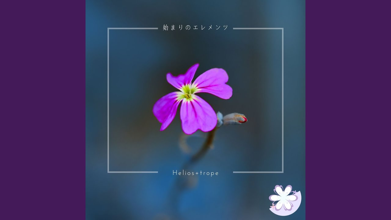 脳裏んスーサイド
