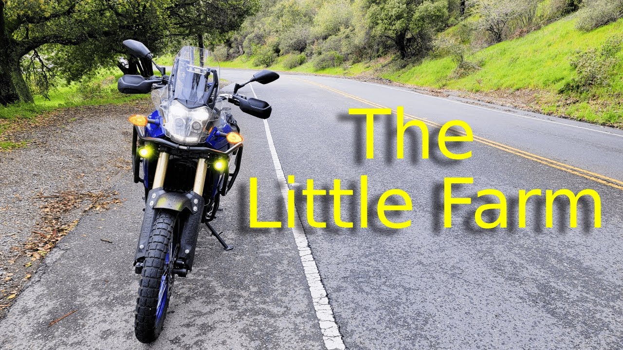 Yamaha Ténéré 700 | Berkeley Hills
