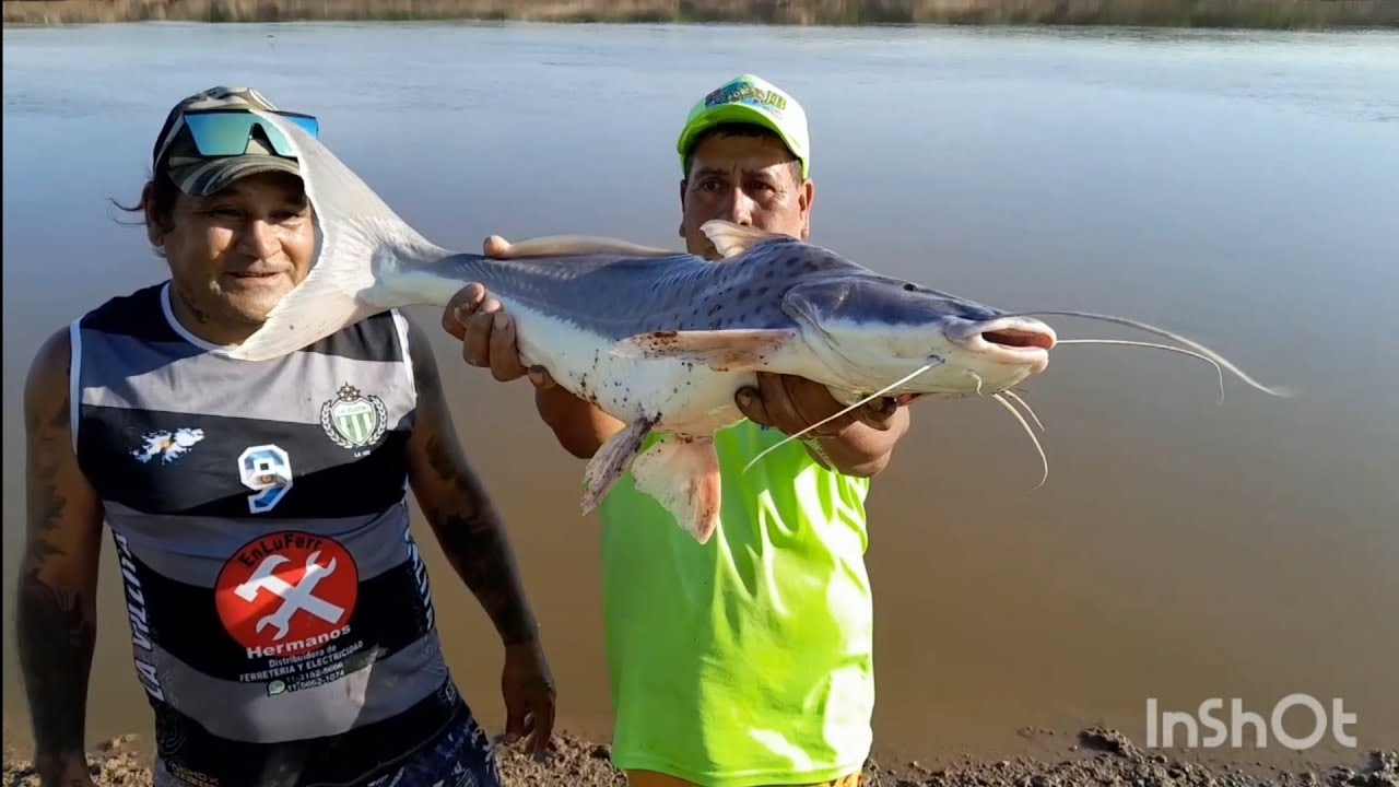 Rio Salado, aparecieron los pati 🎣🎣🎣😍 kilometros 136