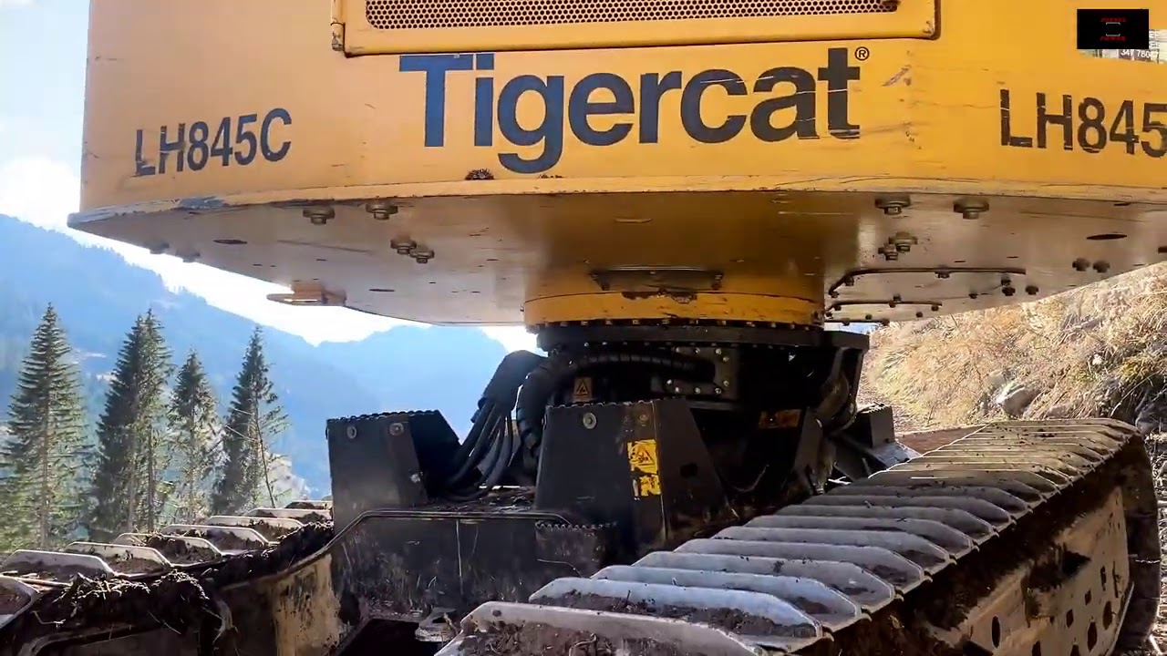 Tigercat LH 845C & Logmax 7000  1 / 2