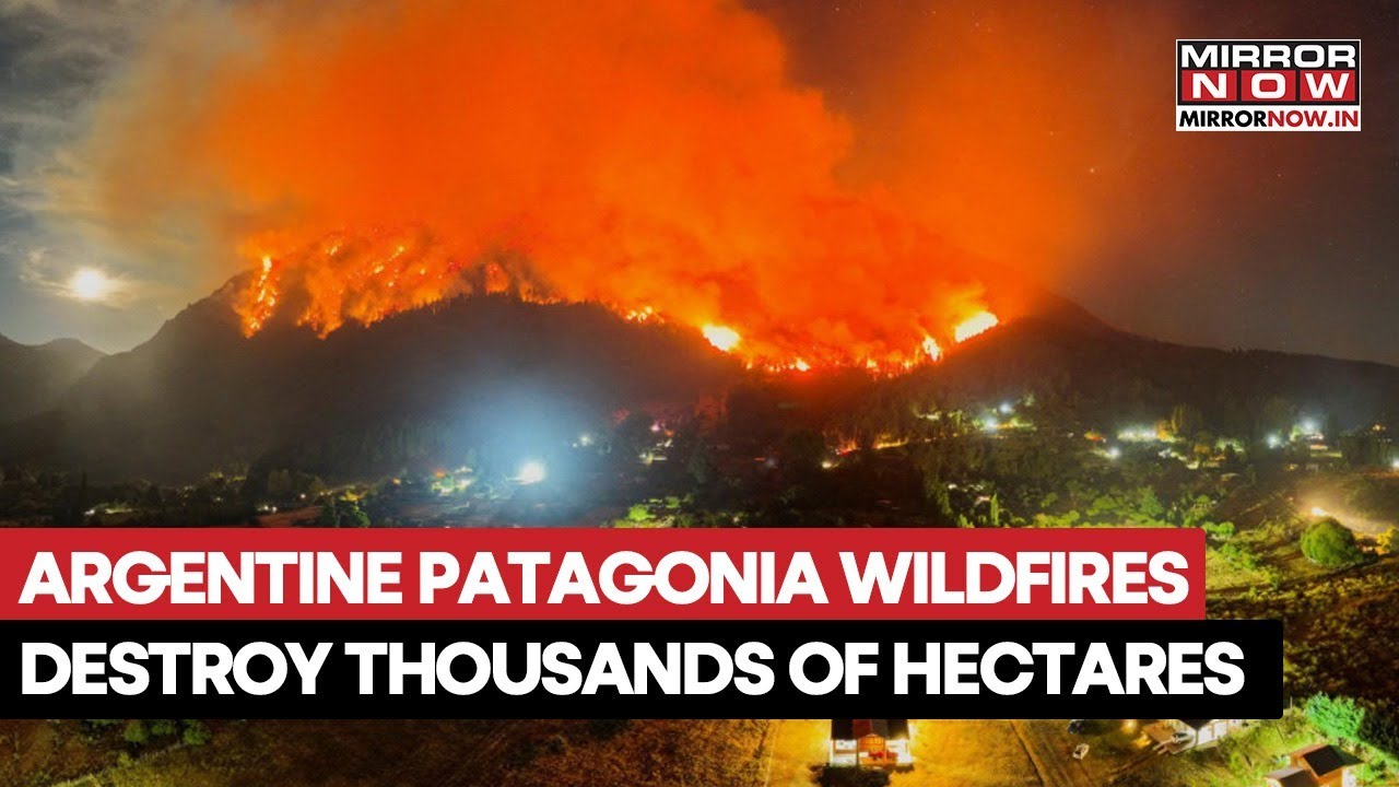 Fires in Argentine Patagonia Rip Through Thousands of Hectares of Forest On Cam | Watch