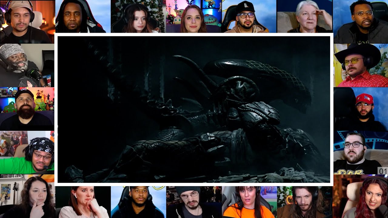 (Xenomorph) Alien kills Predators | Reaction Mashup | #avp