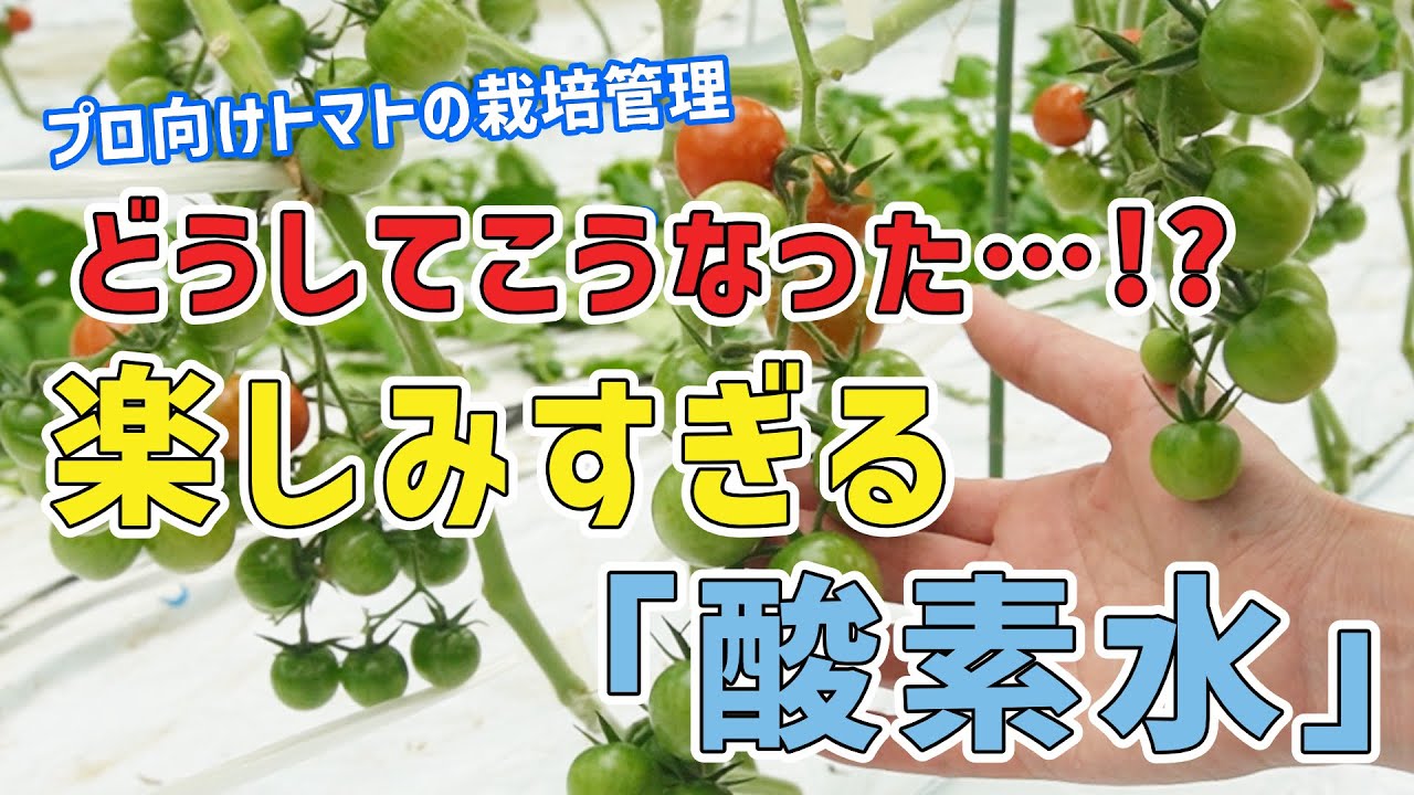 202 どうしてこうなった…!?楽しみすぎる「酸素水」