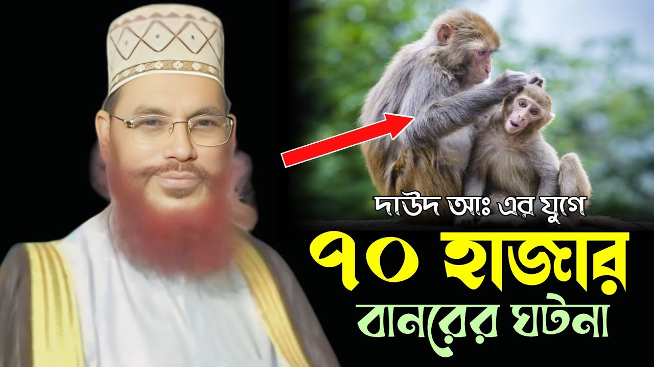 দাউদ আঃ এর যুগে ৭০ হাজার বানরের ঘটনা।। আল্লামা দেলোয়ার হোসেন সাঈদি Dalwar Hossain Saidi 2025