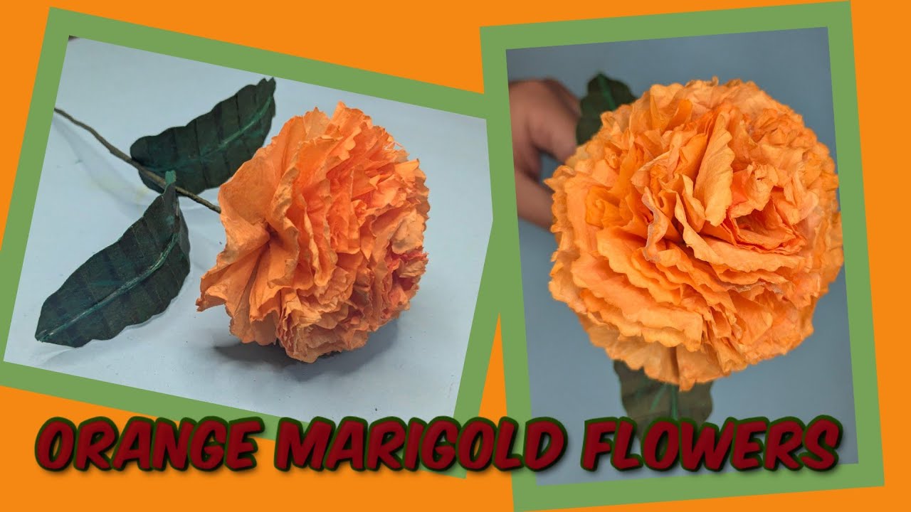 Real orange marigold flower of tissue paper