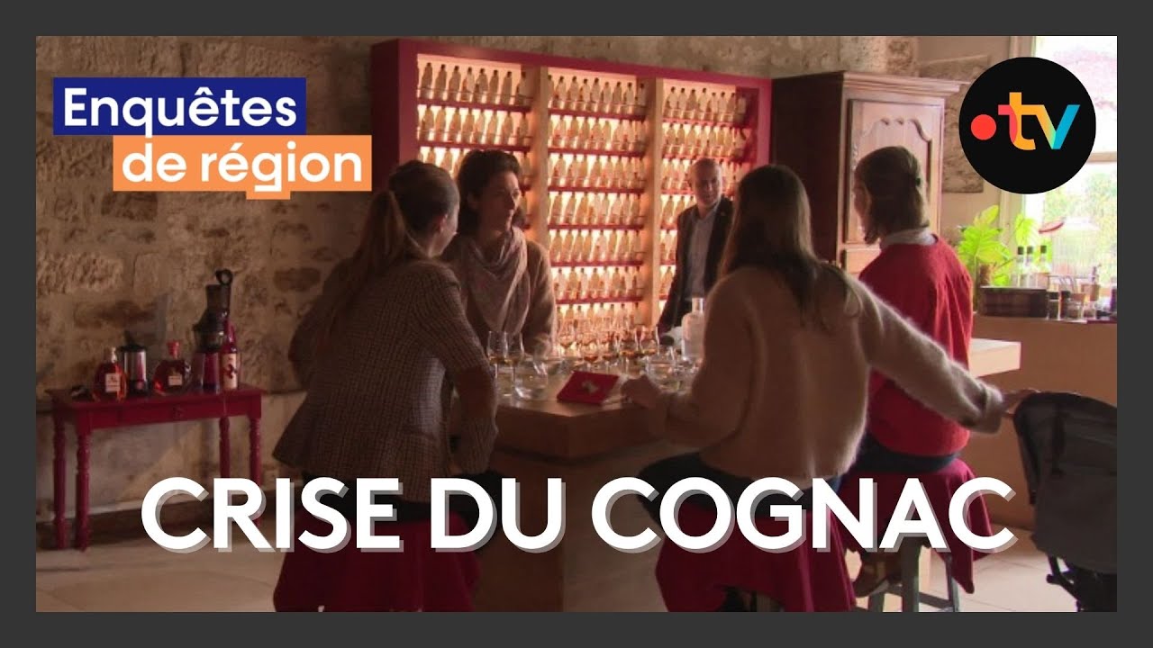 Un vent mauvais souffle sur le vignoble cognaçais // Enquêtes de région
