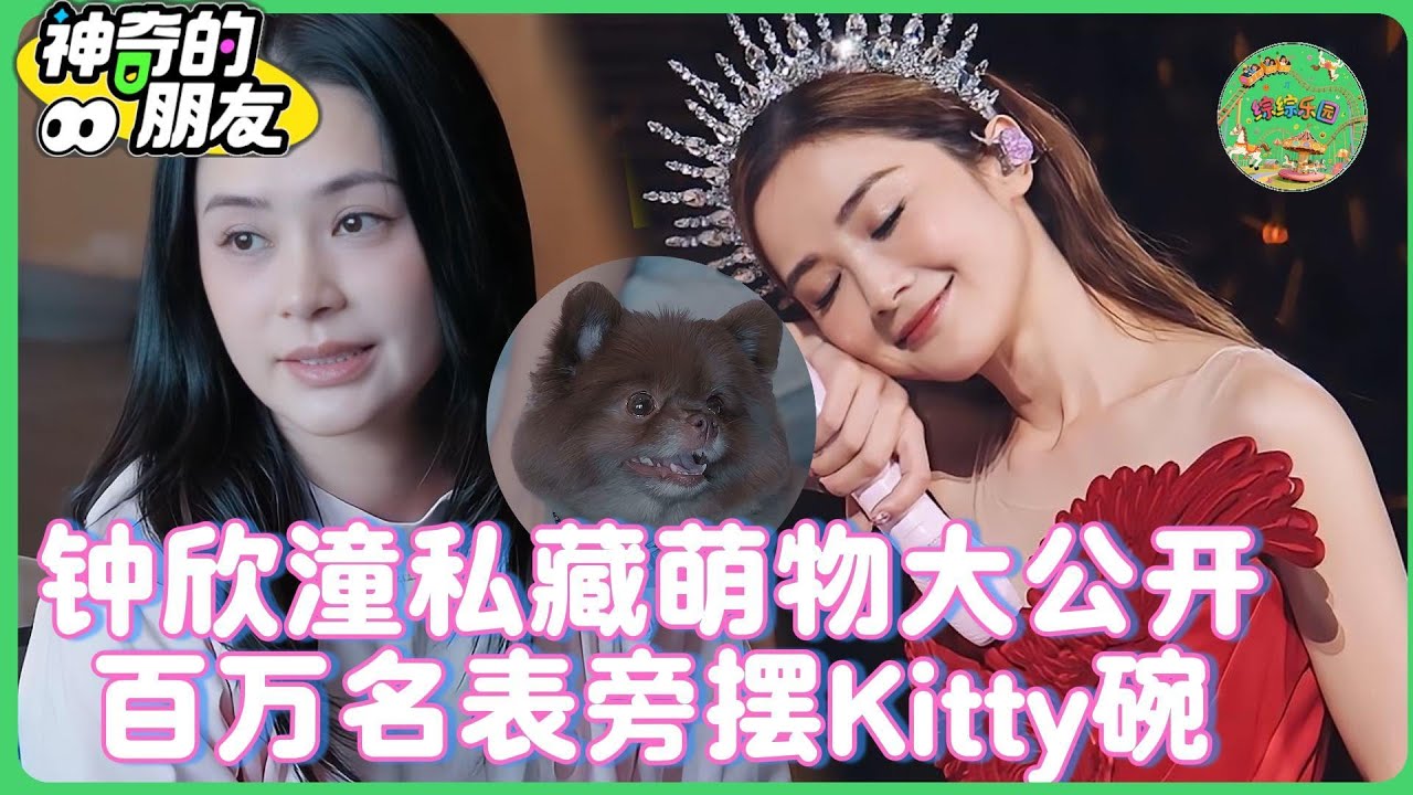 钟欣潼私藏萌物大公开！三层橱柜塞满猫碗狗盆，阿娇：我家是萌宠杂货铺！回忆层流泪：这只碗是艳照风波后阿Sa送的…😢| #麻花特开心 #纪凌尘  #神奇的朋友#钟欣潼