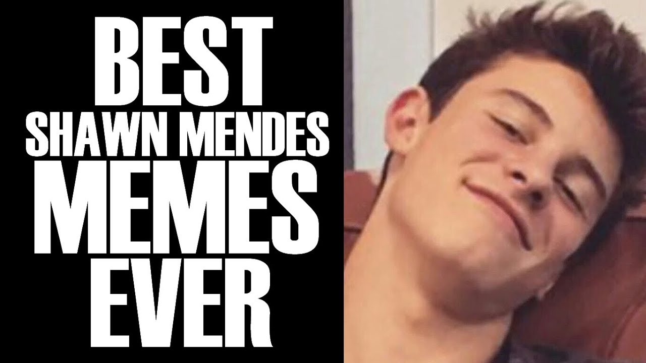 15 Relatable MEMES for the MENDESARMY