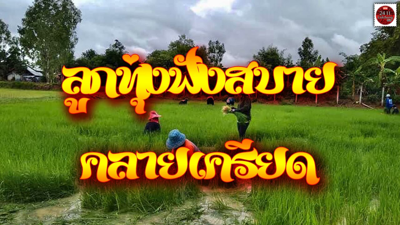 ลูกทุ่งฟังสบาย คลายเครียด #เพลงดัง #ฟังสบาย #รวมเพลงลูกทุ่ง