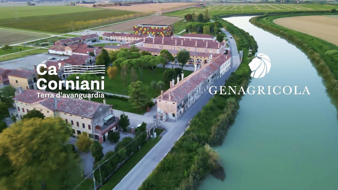 Ca' Corniani Terra d'avanguardia | Video Ufficiale