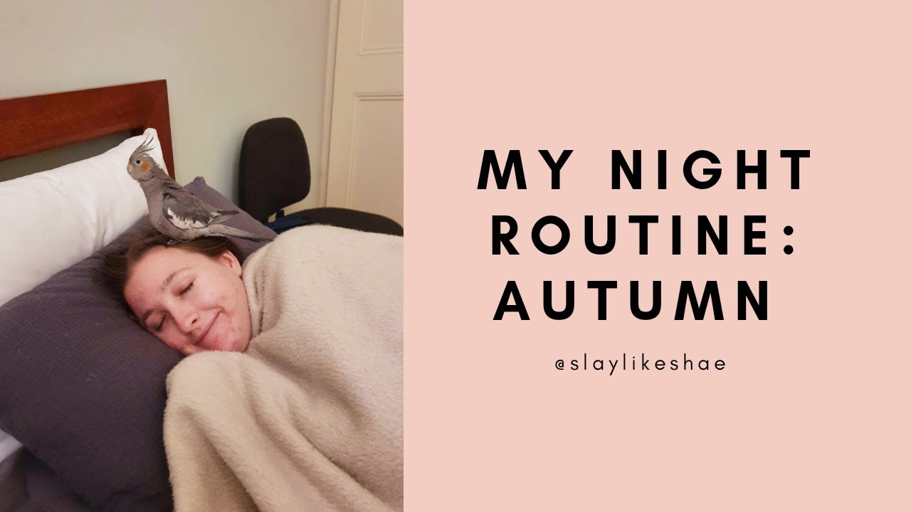 VLOG | ISOLATION NIGHT ROUTINE | FT. LUNA CUDDLES