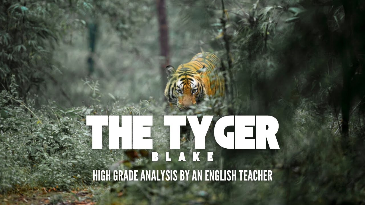 'The Tyger' by William Blake | High Grade Analysis by an English Teacher