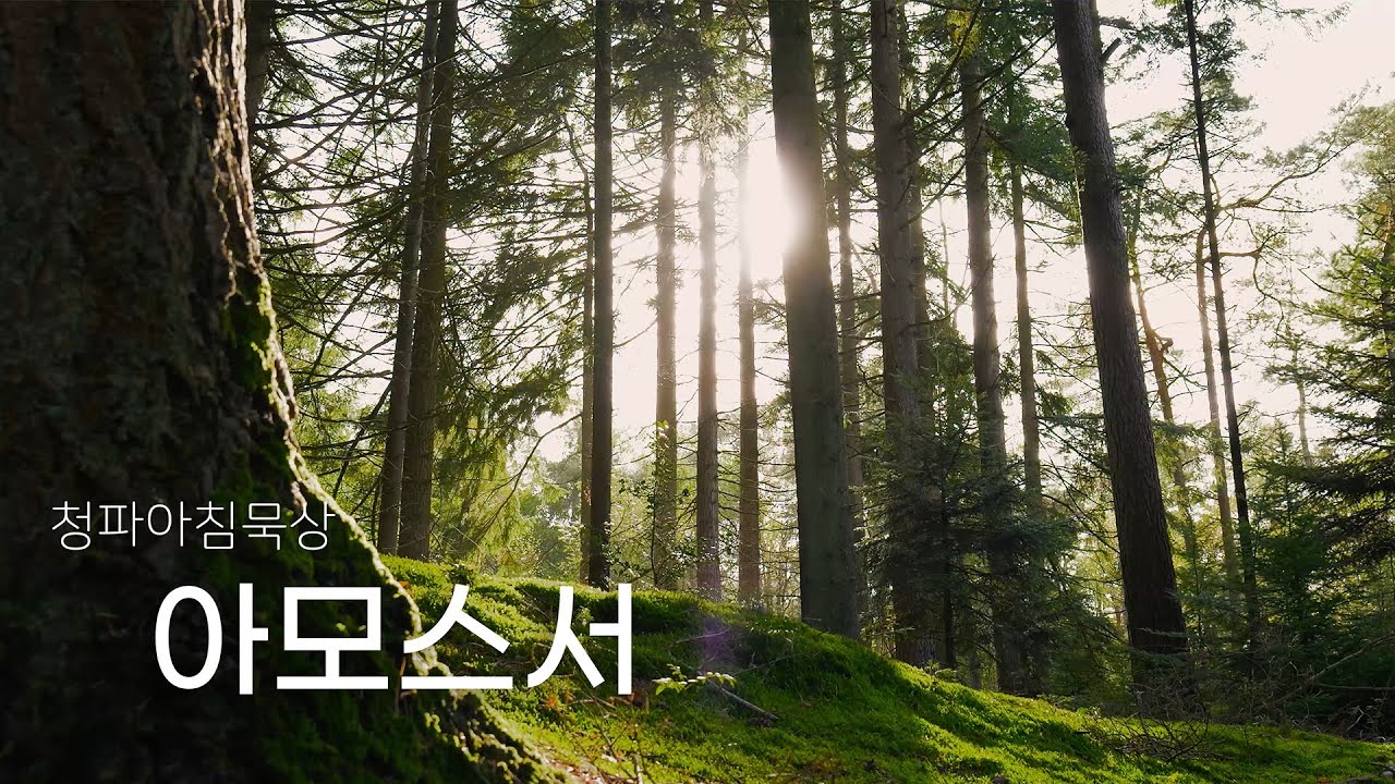 250423(수) 아모스서 2장