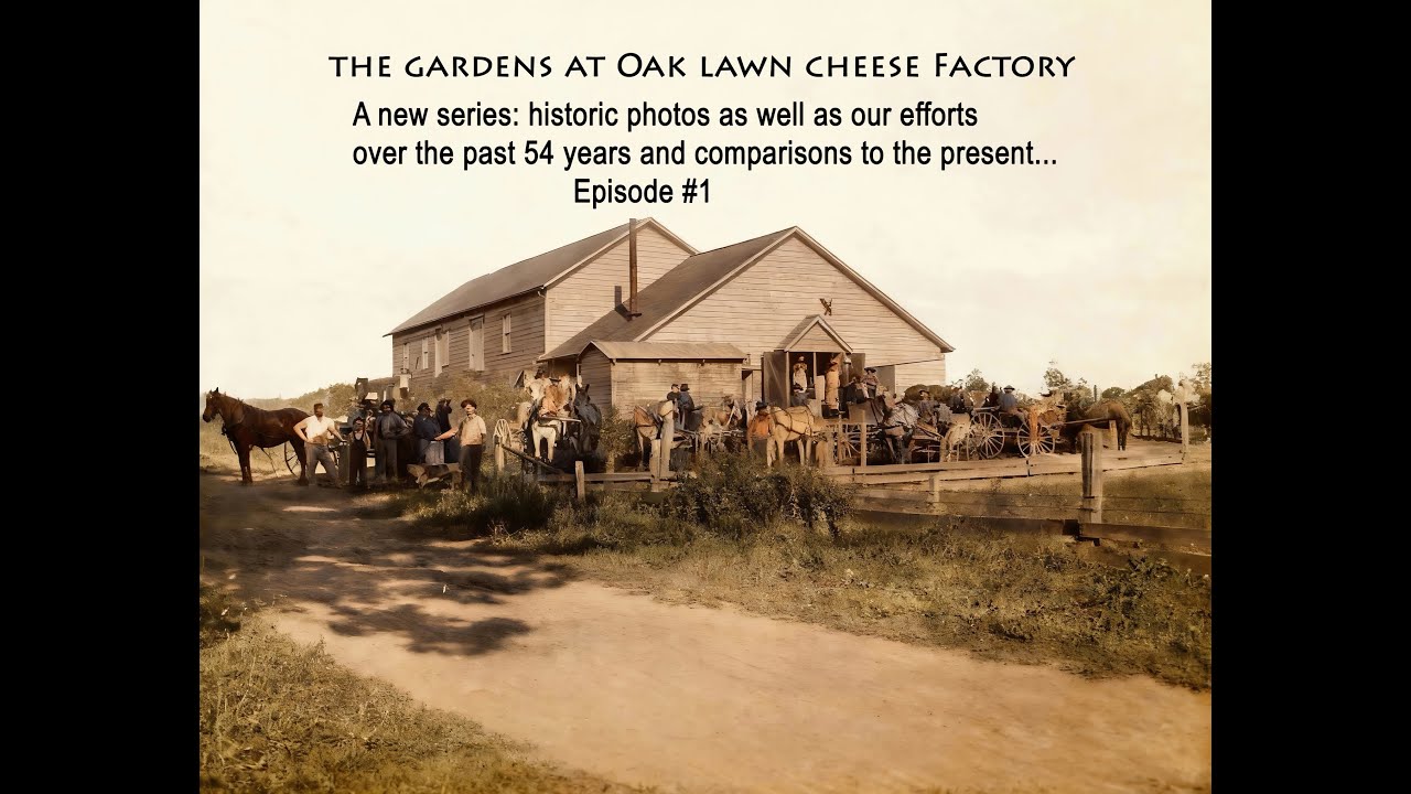 The Gardens at Oak Lawn Cheese Factory: 54 years of DIY 1st in a series