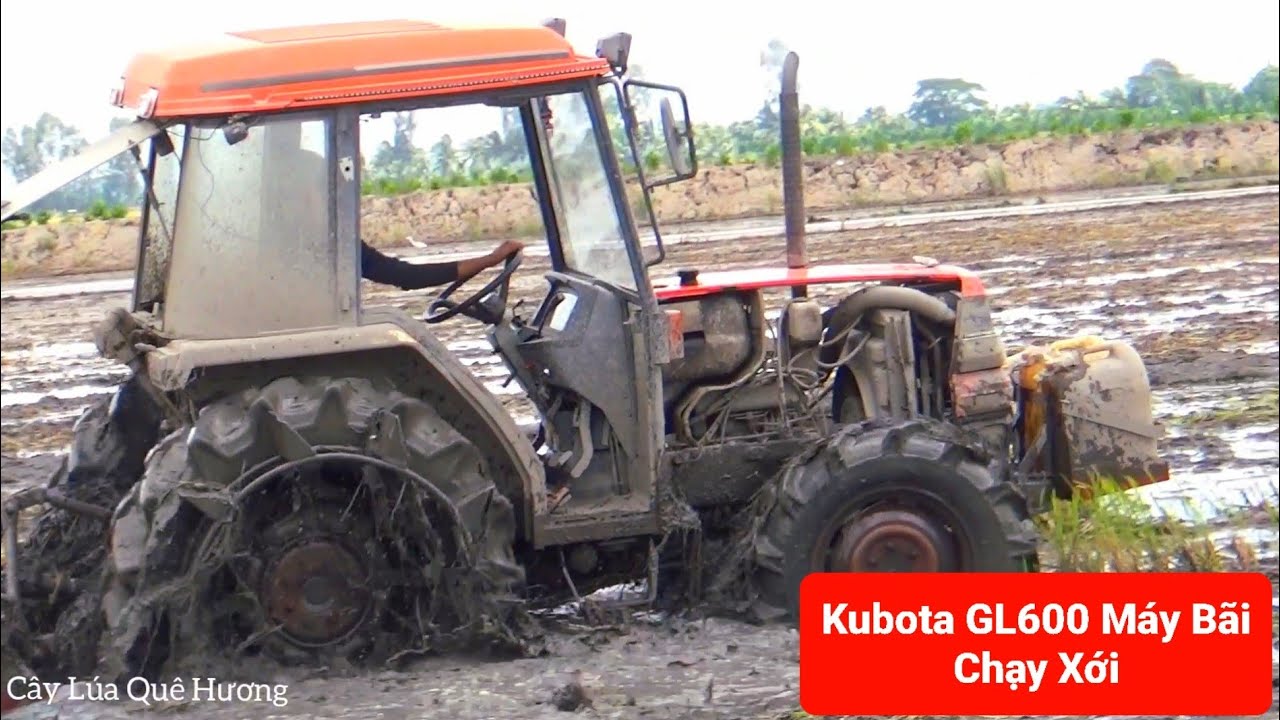 Kubota GL600 Máy Bãi Chạy Xới Thật Tế Trên Ruộng