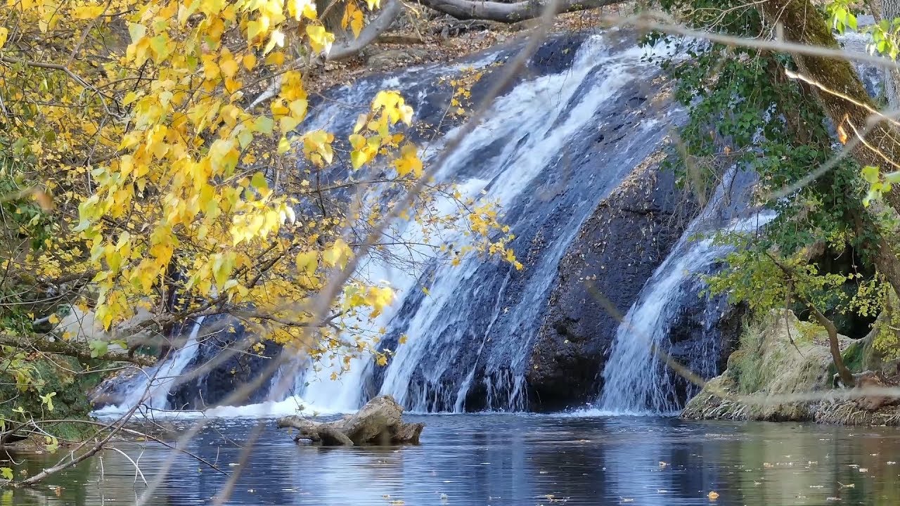 Les trésors de l'argens