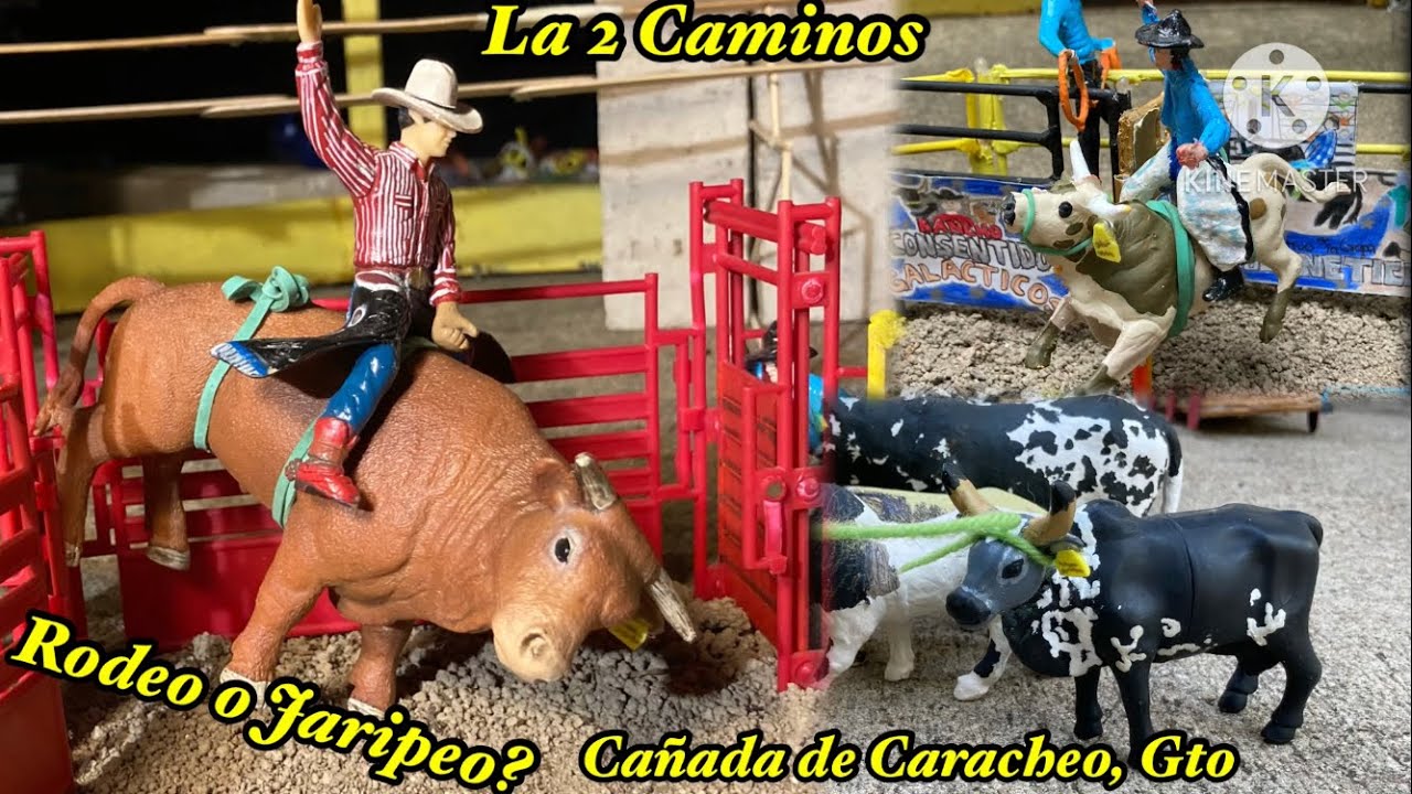 Jaripeo de Juguete! Rodeo o Jaripeo? Rancho el Consentido en la 2 Caminos Cañada de Caracheo, Gto!