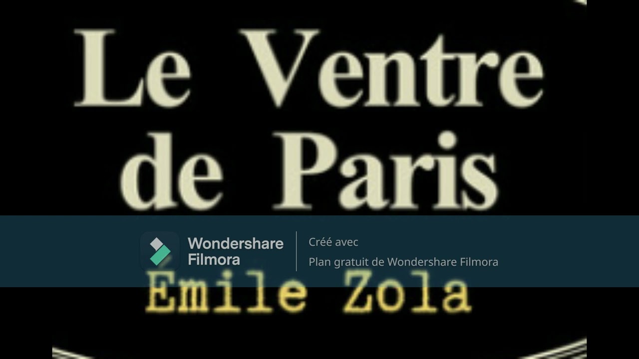 3. Le ventre de Paris, Emile Zola, livre audio, partie 3 sur 6