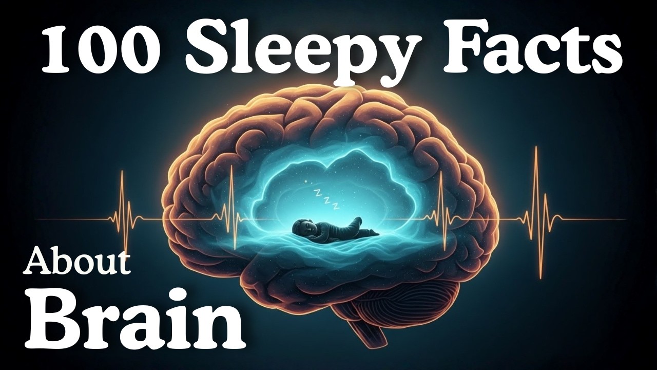 What Happens in the Brain When We Sleep? Peaceful Facts for Deep Sleep