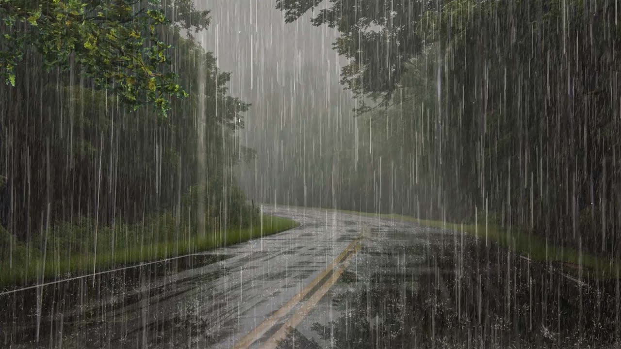 Lluvia Relajante Para Dormir en 3 Minutos - Sonido de Lluvia y Truenos en el Hermoso Camino Bosque