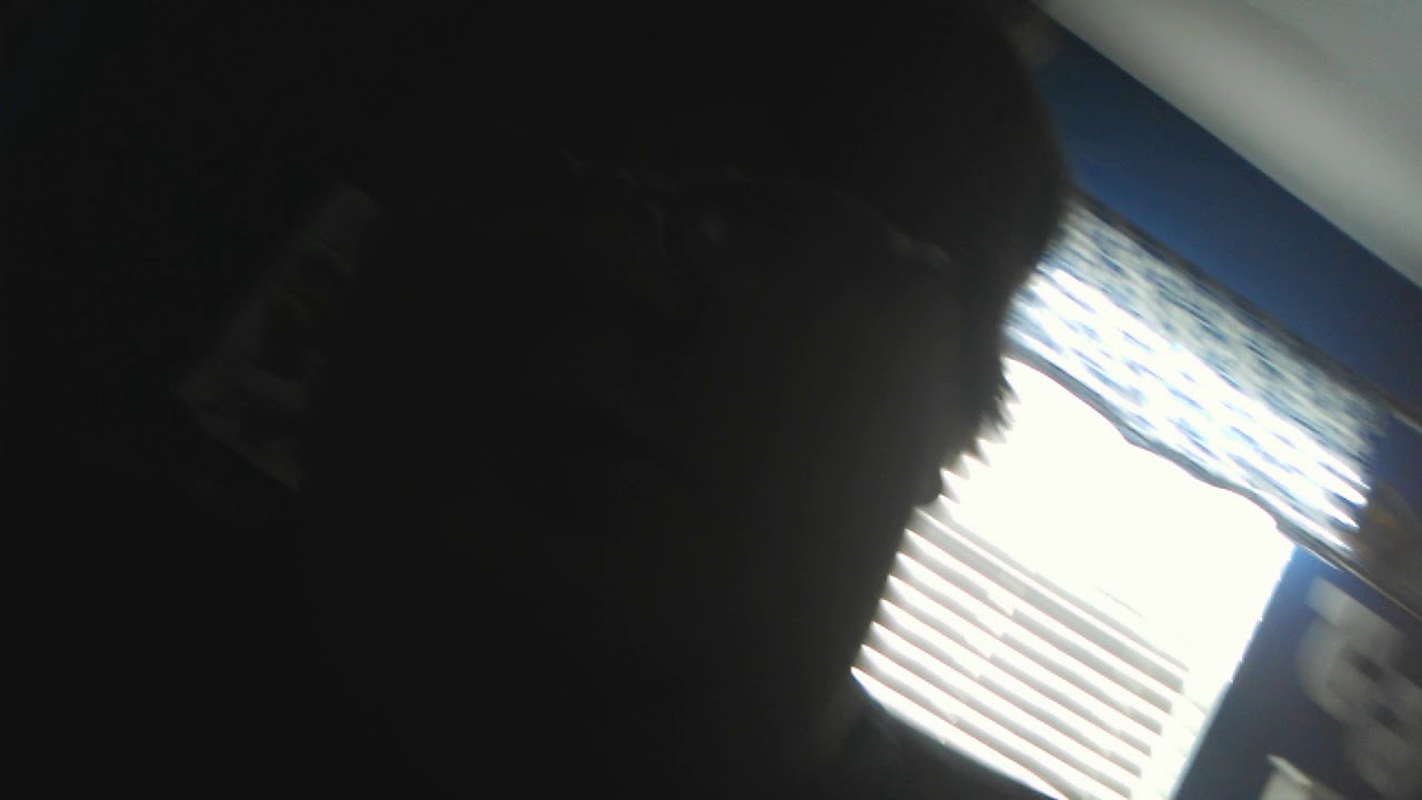 Welcome to why not crew
