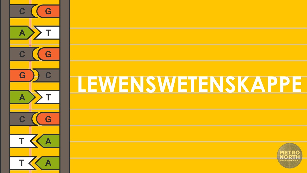 LEWENSWETENSKAPPE 3 GENETIKA