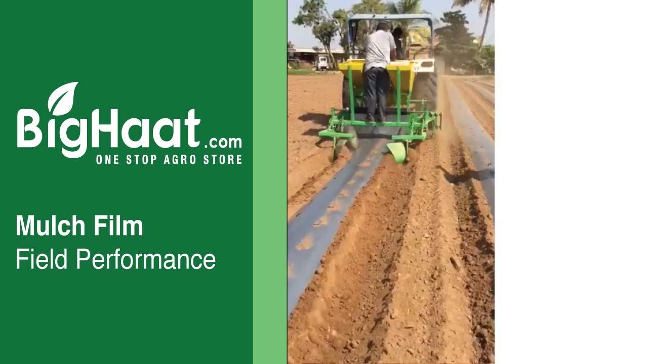 Mulch Film Field Performance.